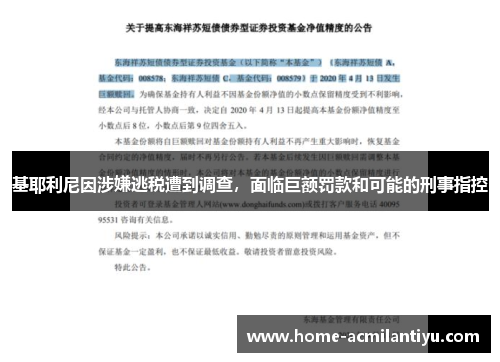 基耶利尼因涉嫌逃税遭到调查，面临巨额罚款和可能的刑事指控