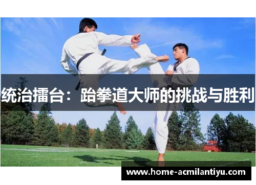 统治擂台：跆拳道大师的挑战与胜利