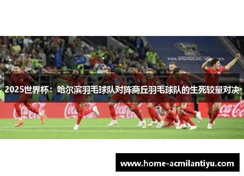 2025世界杯：哈尔滨羽毛球队对阵商丘羽毛球队的生死较量对决
